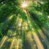 承恩