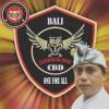 Ketut Mustika