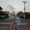 โมกสีขาว