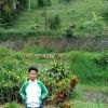 Bebeh