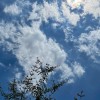 wwwsky