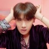Shine-ssi