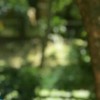 RJZ
