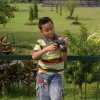 jhanes