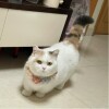 迦岚ダガーいて☆♪