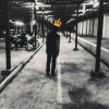twentysixroses