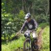 Endang S Reksomanggolo