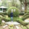MegaPertiwi
