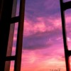 Brinaaa_12