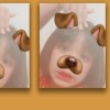 𝒑𝒍𝒐𝒚