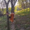 Bell Aekkaphan 