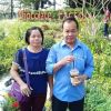 Wilai Dechderm