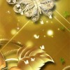 Shahir Shah