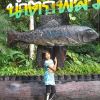 ภัครพร ชินทศักดิ์
