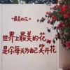HK购购🐷