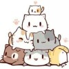 貓咪🐱