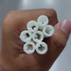 lelymfida