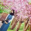 Cinda_ARMY k.sj