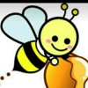 honey bear