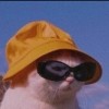 hai