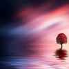 Rain Lim