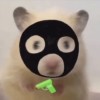 术