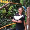 Youtou Arka Andika