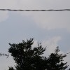 vn