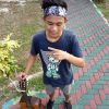 David