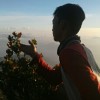 fahmi