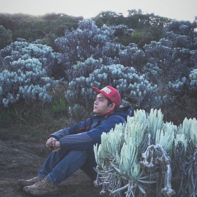 Download Lagu Dalam Pekatnya Oleh New Eta Free Mp3