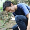 Lauwvan