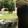 Xinying