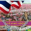 Manee Suksamai