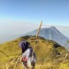 ratna_sari