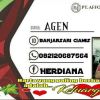 Herdiana