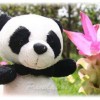 Pandatong