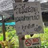 คนโปร่ง คนใหม่