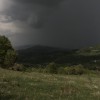 zanisce