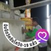 สุรินทร์ แสงทับ