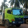 hardi