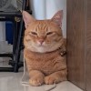 Pornpak Charoenram