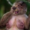 นู๋วีน
