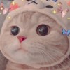 𝐿𝑛.♡︎