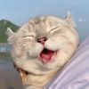 Chai Xin Yee Sally