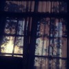 sunshine...  ^^