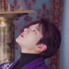보민