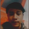 pajarsidik