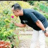 bangjaya