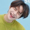 YWL P.